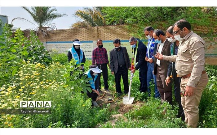تداوم "طرح توسعه فضای سبز مدارس" با کاشت نهال در دبیرستان رشد