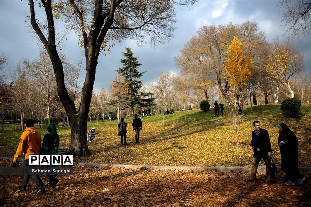 آماده‌سازی بوستان‌های پایتخت برای سال نو