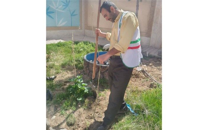 کاشت 30 اصله نهال در دبیرستان رضوان ناحیه یک قم