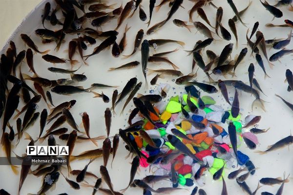 خرید شب عید در تهران