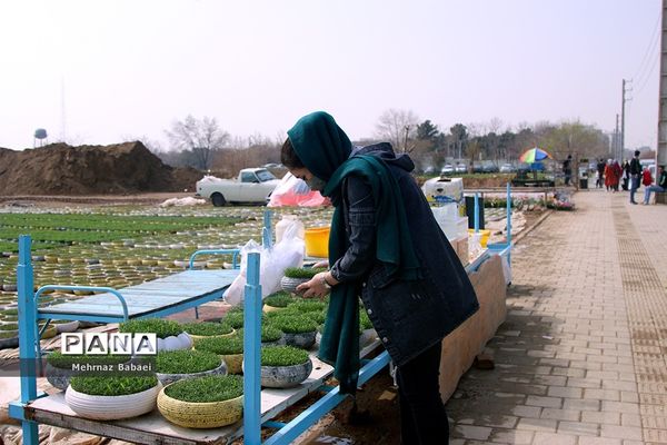 خرید شب عید در تهران
