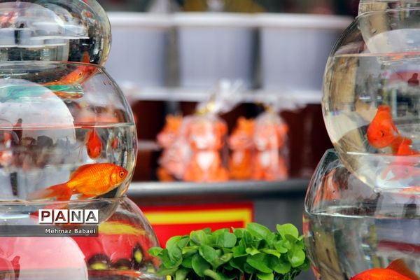 خرید شب عید در تهران