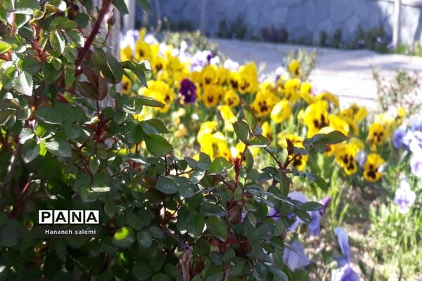 بهار نفسی تازه به طبیعت هدیه کرد
