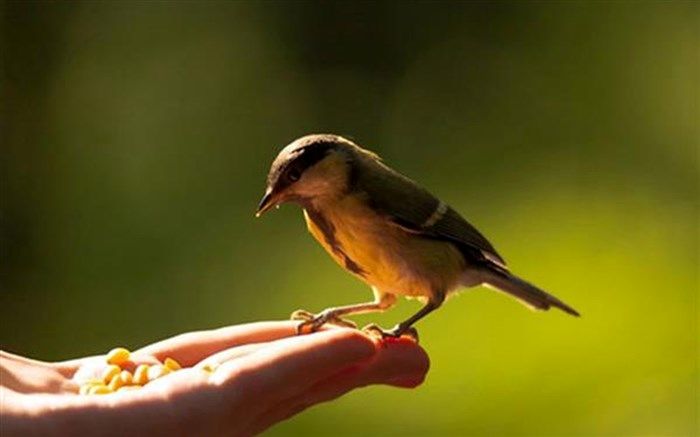 سالی که در دوگانگی انسانیت گذشت