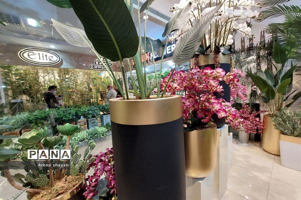 حال و هوای بازار گل و گیاه در بزرگراه بعثت