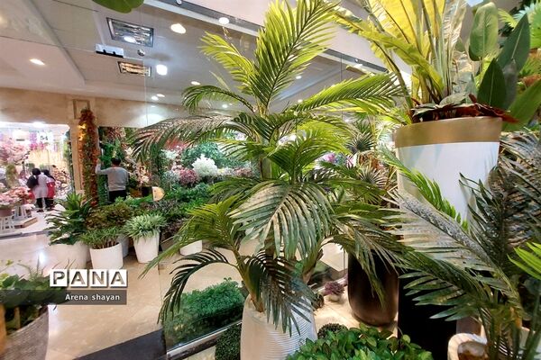حال و هوای بازار گل و گیاه در بزرگراه بعثت