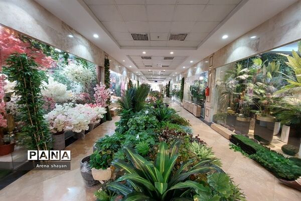 حال و هوای بازار گل و گیاه در بزرگراه بعثت