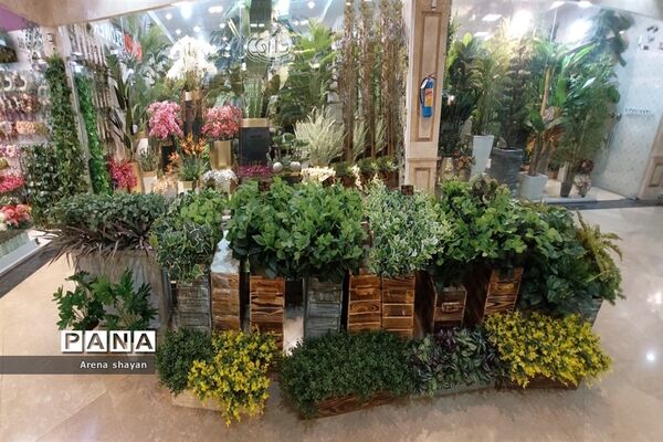 حال و هوای بازار گل و گیاه در بزرگراه بعثت