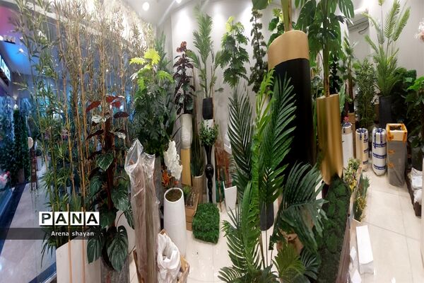 حال و هوای بازار گل و گیاه در بزرگراه بعثت