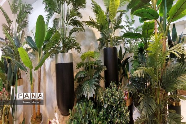 حال و هوای بازار گل و گیاه در بزرگراه بعثت