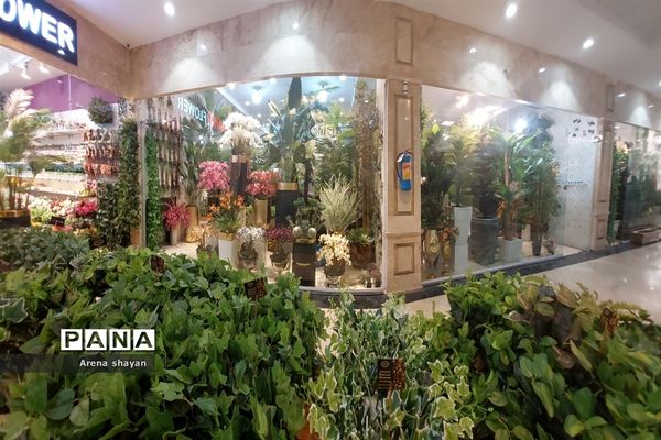 حال و هوای بازار گل و گیاه در بزرگراه بعثت