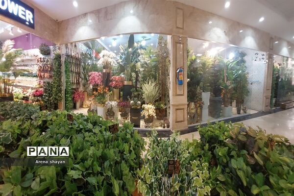 حال و هوای بازار گل و گیاه در بزرگراه بعثت