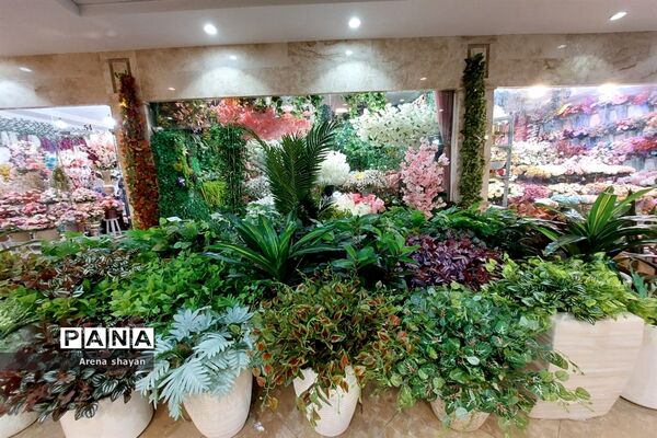 حال و هوای بازار گل و گیاه در بزرگراه بعثت