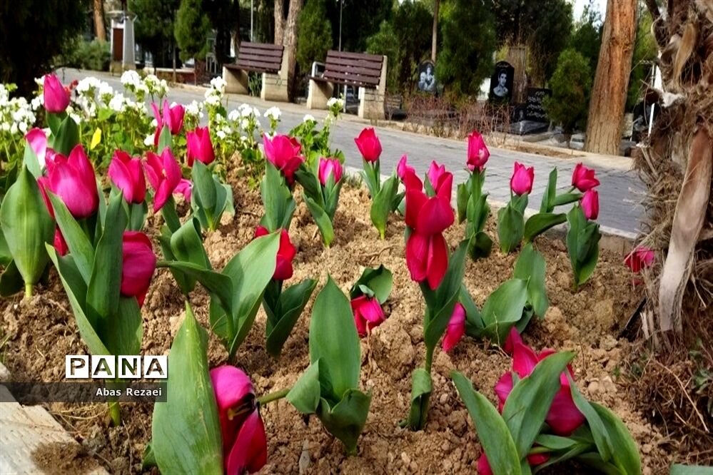 آخرین جمعه قرن در بهشت زهرا پر از سکوت است