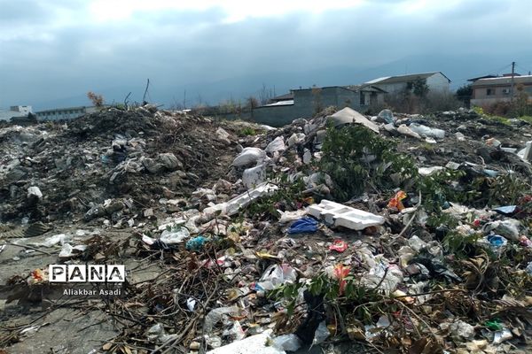 روئیدن زباله در کنار سبزه‌زار بهار