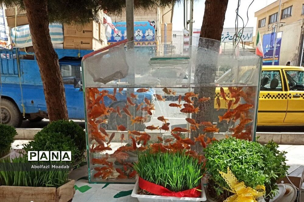 استقبال از بهار و عید نوروز در کاشمر