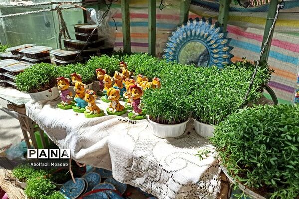 استقبال از بهار و عید نوروز در کاشمر
