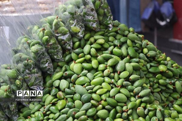 استقبال از نوروز در ساری