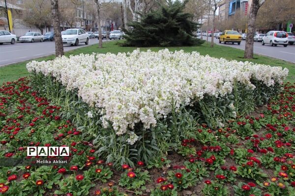 مشهد در آستانه نوروز