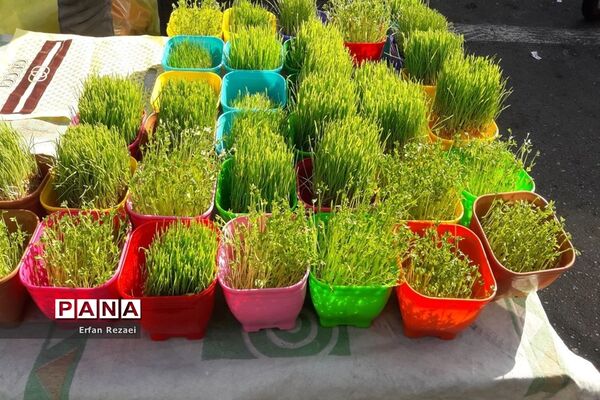 کرونا در سبد خرید نوروزی