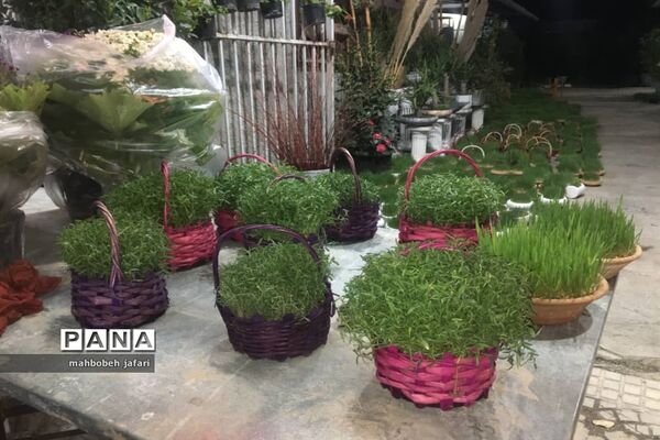 ساری به پیشواز نوروز می‌رود