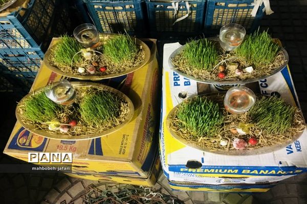 ساری به پیشواز نوروز می‌رود