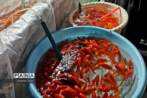 تکاپوی خرید عید در اهواز