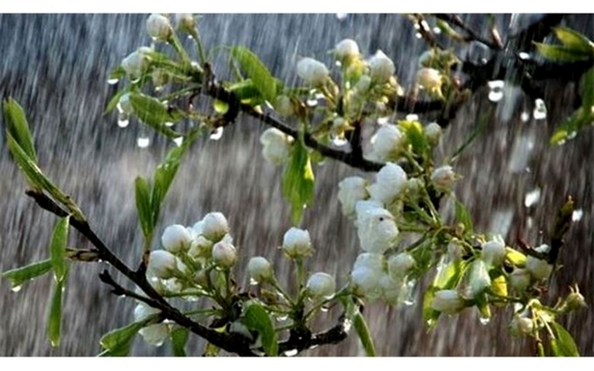 آغاز قرن با بارش رحمت الهی در گیلان