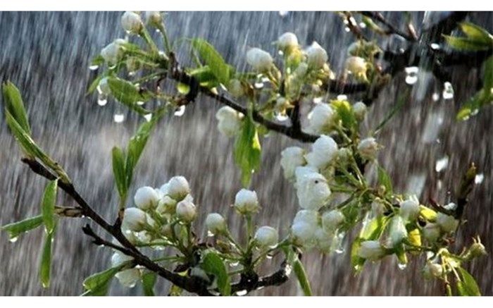 آغاز قرن با بارش رحمت الهی در گیلان