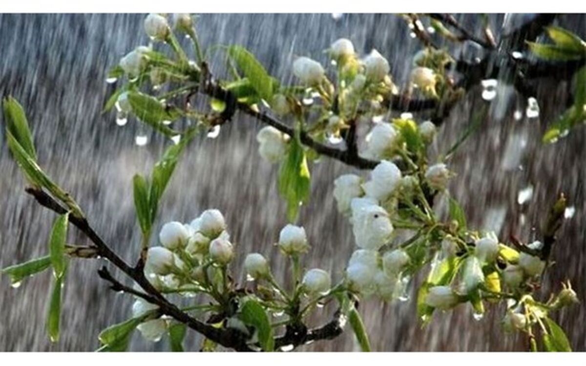آغاز قرن با بارش رحمت الهی در گیلان