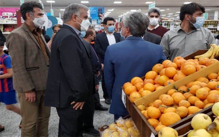 بازدید فرماندار بوشهر از مراکز عرضه کالا در بوشهر