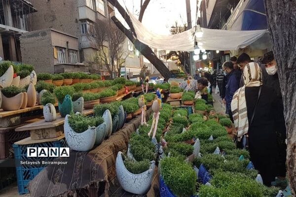 تکاپوی خرید شب عید در شهر تهران
