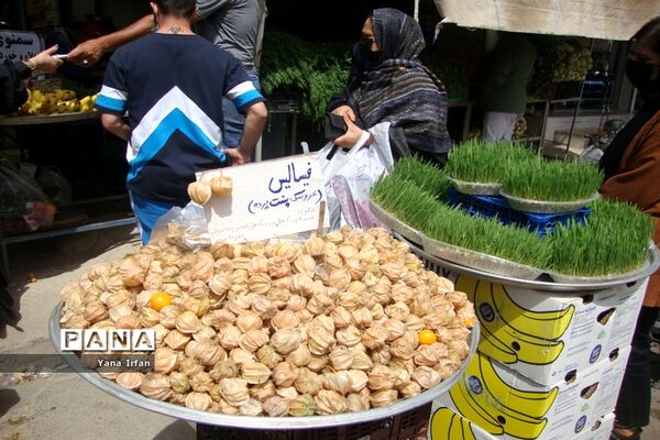 استقبال مردم بوشهر از عید نوروز