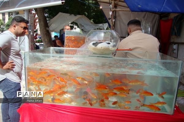 استقبال مردم بوشهر از عید نوروز