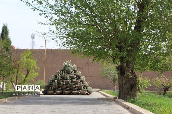 فضای زیبای باغ دولت‌آباد یزد در ایام نوروز