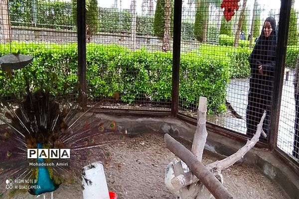 ساخت شهرک گردشگری توسط شهردار بابلسر برای مسافران نوروزی