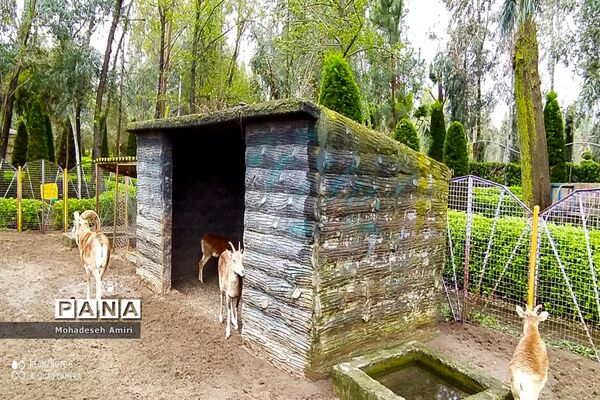 ساخت شهرک گردشگری توسط شهردار بابلسر برای مسافران نوروزی