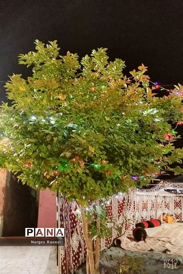 استقبال از مسافران نوروزی در قصرقند