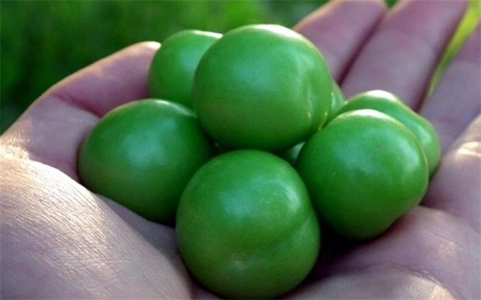 ماجرای گوجه‌سبز ۴ میلیون تومانی چه بود؟