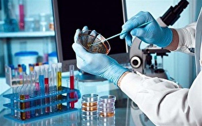 کارگروه حل فوری مشکلات ثبتی شرکت‌های دانش بنیان تشکیل می‌شود