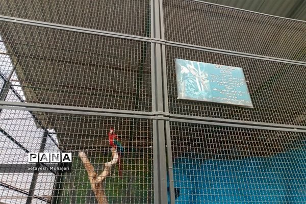 استقبال مسافران نوروزی از باغ وحش وکیل آباد مشهد