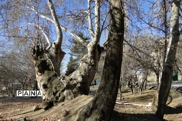 جاذبه‌های گردشگری رودهن