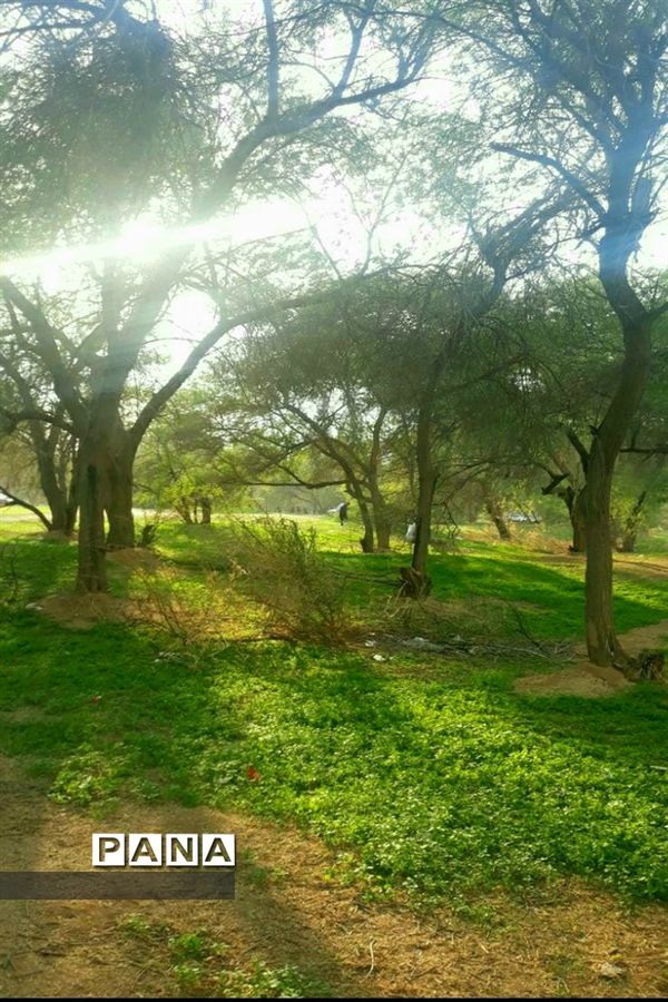 جاذبه‌های گردشگری حمیدیه