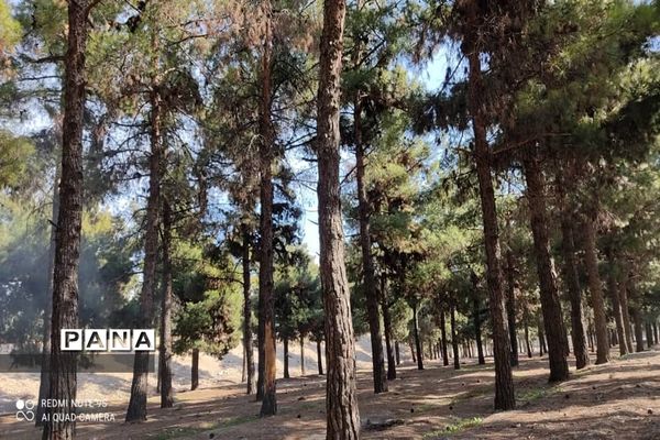 جاذبه‌های گردشگری حمیدیه