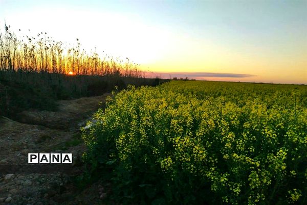 جاذبه‌های گردشگری حمیدیه