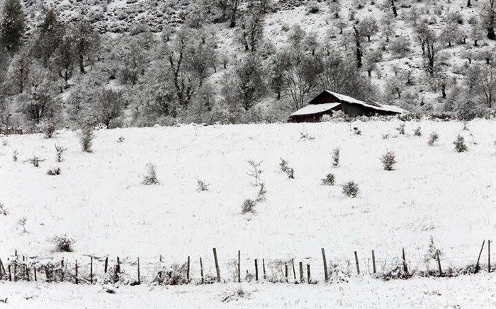 باران و برف همچنان در بهار گیلان می تازد