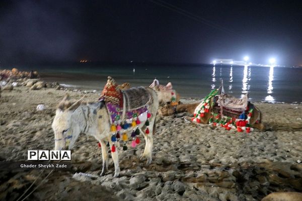 حضور کم سابقه مسافران در سواحل چابهار