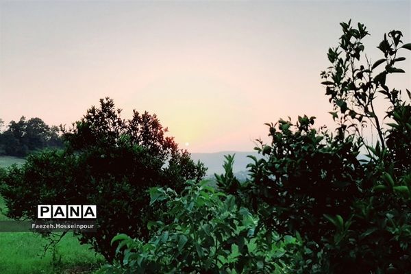 ردای سبز طبیعت در نوروز