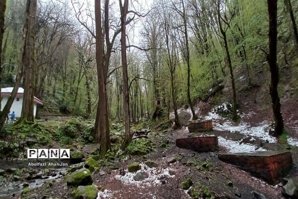 طبیعت بهاری روستای لونک