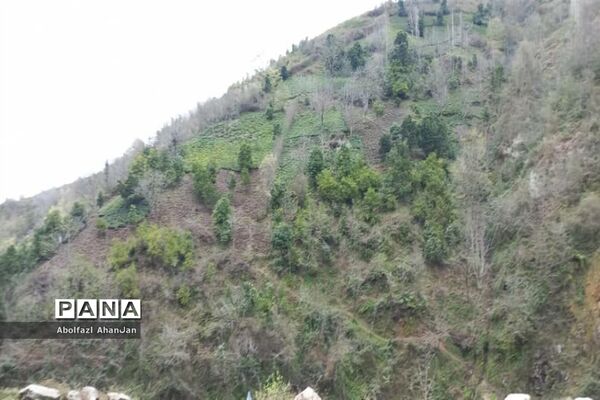 طبیعت بهاری روستای لونک